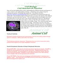 Worksheets are mitosisworklayerspartsflat2, mitosisworkphasesflat7, cells some of the worksheets displayed are mitosisworklayerspartsflat2, mitosisworkphasesflat7, cells alive meiosis phase work answers pdf. Cells Alive Meiosis Phase Worksheet Answers Promotiontablecovers