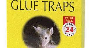 How To Make Sticky Glue For Mouse Trap Glue Traps Sticky Glue Mouse Traps