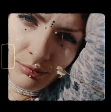 How to identify the person who stole my wallet in Hamilton?