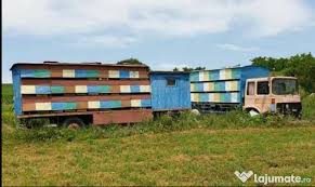 Poate fi vazut pe str. Stupina Stupi Pavilion Apicol Adroa Food