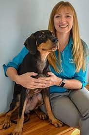 Since my cats got some tough issues, where other vets want to just do expensive surgeries. Learn More About Our Team In Viera Fl Island Animal Hospital