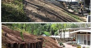 Pin On Riverside Native Landscape Design Projects