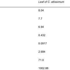 Image result for Cathormion altissimum