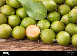 Image result for Melicoccus