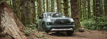 2019 toyota rav4 color options