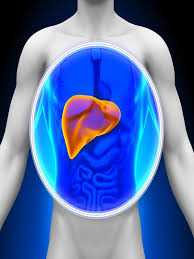 'in the united states, there's a great shortage of donor organs: Liver Abscess Treatment Mims Malaysia