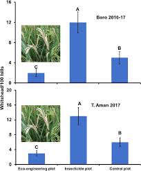 Scientific pest management (hong kong) co.,ltd. Establishing Next Generation Pest Control Services In Rice Fields Eco Agriculture Scientific Reports