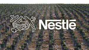 Explore brands from nestle in the united states, from digiorno pizza to chameleon cold brew coffee, stouffer's meals to purina beyond petfood, and gerber baby foods to san pellegrino water. Kellogg S Nestle Unilever Stoppt Die Kinderarbeit Fur Palmol Rettet Den Regenwald E V