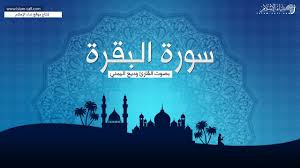 سورة البقرة القارئ وديع اليمني surah al quran art quran
