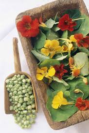 Image result for Nasturtium