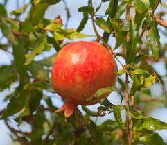 Related image