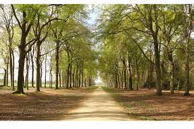 El mes más frío es febrero. Wandelroute Broekhuizen Utrechtse Heuvelrug