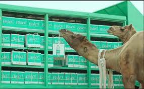 The fear is often accompanied by the remorse where you are also genuinely ashamed and sorry for the way you have behaved, as well as simply frightened for the sake of that feeling that accompanies one when they wake up after a night of heaving drinking, or in the midst of a psychedelic voyage. Bisleri Camels Back In A New Avatar Marketing Advertising News Et Brandequity