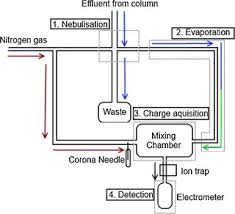 + 64 845,77 rub доставка. Performance Of Charged Aerosol Detection With Hydrophilic Interaction Chromatography Sciencedirect