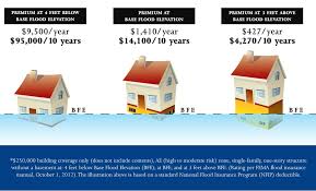Basements in canada & usa face serious challenges: House Lifting W A Is One Of The Best House Lifter Near You
