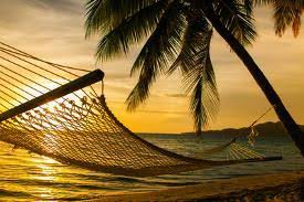 With more than 2,000 palm tree types choosing the right one for your home or business can seem to help you decide which palm tree variety is best for you we've developed a simple rating system. Palm Trees Photography Posters Prints Paintings Wall Art Allposters Com