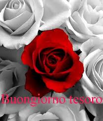 Pin By Cecilija On Per Sempre Good Morning Good Night Flower Aesthetic Flower Drawing