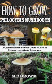 How To Grow Psilocybin Mushrooms Ebook By M D Brown 6610000093298 Rakuten Kobo United States