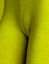 Image result for cameltoe