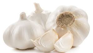 Bawang putih tunggal diketahui mempunyai senyawa yang lebih tinggi dibandingkan dengan bawang putih yang biasa. Manfaat Mengkonsumsi Bawang Putih Mentah Pagi Hari Untuk Kekebalan Tubuh Cantik Tempo Co