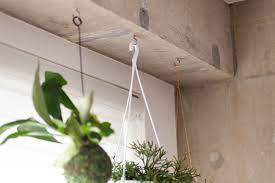 h様邸学芸大学 フック 植物 植物と暮らす ハンギングプランツ ecodeco エコデコ リノベーション renovation リノベーション リノベーション 事例 家