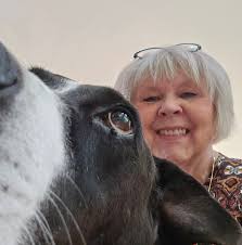 Just wondering if y'all know this sweet birds name!