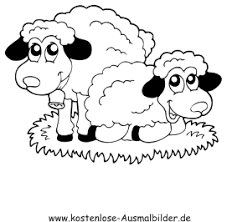 Ausmalbild Schafe Zum Ausdrucken