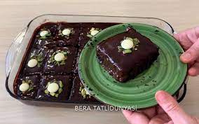 browni panosundaki pin