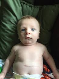 Little Joe Pesci is doing amazing ❤️