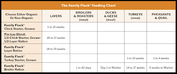 55 Correct Poultry Feeding Chart