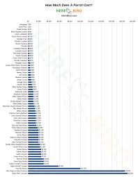 how much does a parrot cost 64 popular bird prices updated 2019