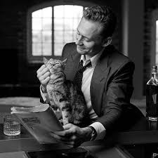 Twhiddleston Tomhiddleston Tom Hiddleston Cat People Toms