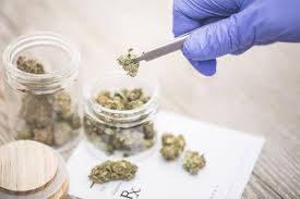 Pros And Cons Of Medical Marijuana