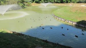 Résultat de recherche d'images pour 