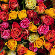 Yazı dizimizin ilk kısmında nevresim takımlarından bahsedeceğim. Hangi Nevresim Takimi Markasi Kadinlar Kulubu