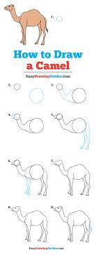Follow our step by step illustrated tutorial. How To Draw A Camel Really Easy Drawing Tutorial