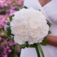 Bridal Bouquet White Carnations Duo Include Flower Food Carnation Wedding Carnation Bouquet White Carnation Bouquet