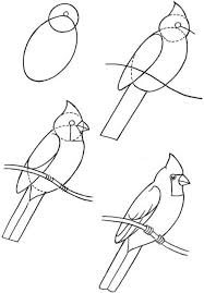 How To Draw Birds How Answers Bird Drawings Drawings Art