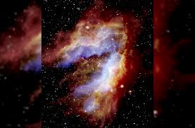 Image result for Searsia nebulosa
