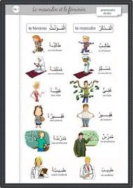 Le Masculin Et Feminin Apprendre L Arabe Langue Arabe Grammaire Arabe