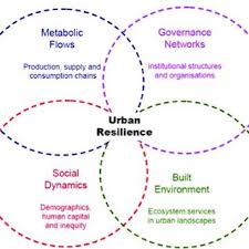 Pdf Urban Resilience Thinking For Municipalities