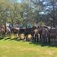 Trail Ride event in Trophy Club, TX