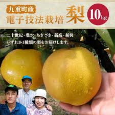 玉井 農園