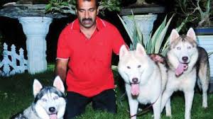 From 4 weeks of age, they have had unlimited outdoor access, a court yard with grass and plants. Kerala Exotic Dogs On Decline