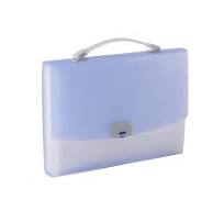 Custom Luxury High Quality A4 Size Accordion Bag Organizer Expanding File  Folder
