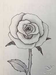 Zeichnen Ideen 40 Beliebte Vorlagen Fur Anfanger Easy Flower Drawings Cute Flower Drawing Rose Drawing Simple