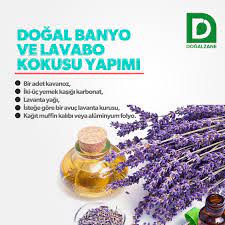 Adına türküler yazılan, nikahlar da hediye olarak kullanılan oldukça popüler bir gider kokusu nasıl giderilir, gider kokusu belkide birçok bayanın korkulu rüyaları arasındadır. Dogalzane Kimyasal Tuvalet Kokulari Ernet Hemen Her Evde Kullanilmaktadir Bu Kokularin Iceriginde Paradiklorobenzen Adinda Bir Kimyasal Zehir Mevcuttur Naftalinin Icerisinde De Bu Zehirden Bulunmaktadir 5 Gramin Uzeri Veya Bir