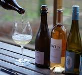 Sip & Savor: Energy & Motion