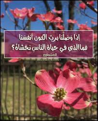 إذا وصلنا برب الكون أنفسنا فما الذي في حياة الناس نخشاه عبدالرحمن العشماوي Plants Vegetables Radish