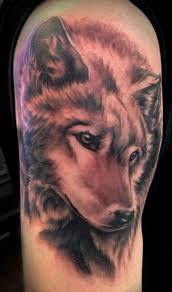 Black And Grey Wolf Tattoo Black And Gray Wolf Tattoo Done By Angela Grace Grey Wolf Tattoo Wolf Tattoos Wolf Tattoo